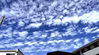 ���낱��☁️
